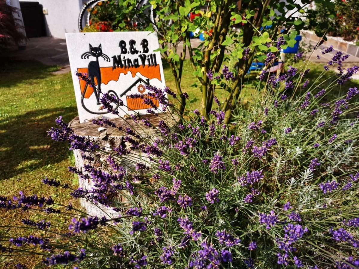 Minavill La Casa Sulle Dolomiti Panzió Fiera di Primiero Kültér fotó