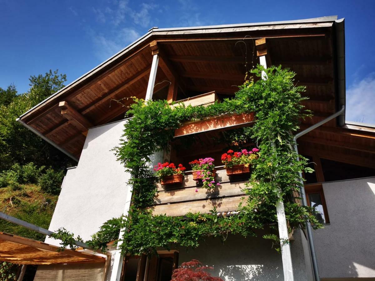 Minavill La Casa Sulle Dolomiti Panzió Fiera di Primiero Kültér fotó